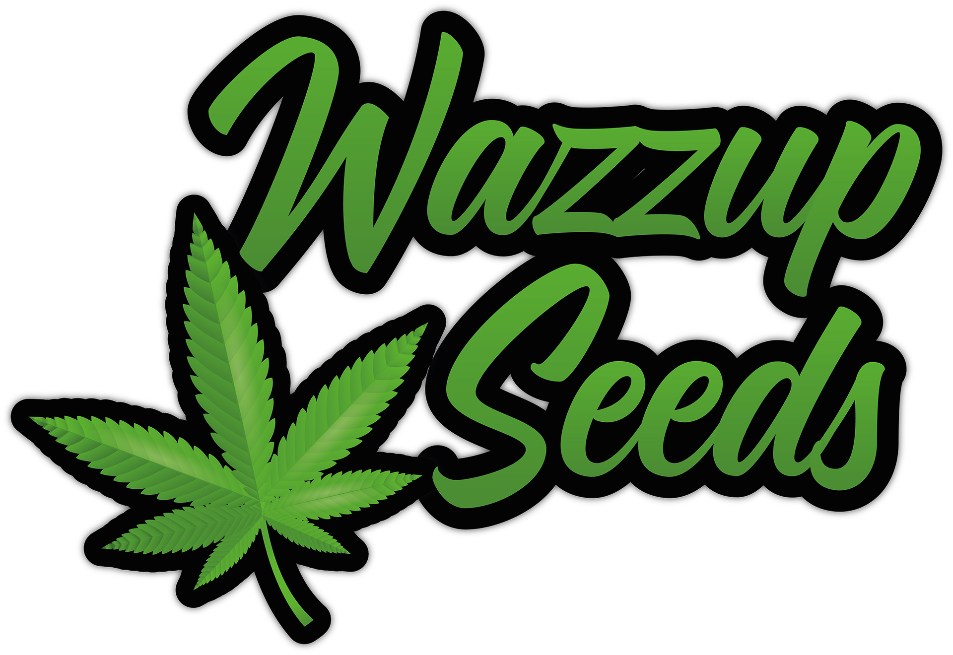 Wazzup Seeds V1 zonder achtergrondkopie